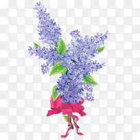 薰衣草-空若网 薰衣草-空若网