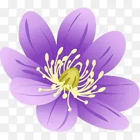 紫色花卉插画素材-空若网 紫色花卉插画素材-空若网