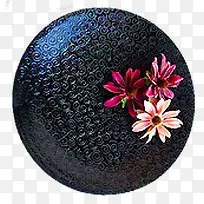 高清摄影质感紫色的花卉-空若网 高清摄影质感紫色的花卉-空若网