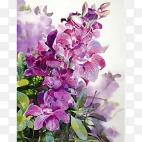 ×Ïɫˮ²ÊÊֻ滨»Ü-¿ÕÈôÍø ×Ïɫˮ²ÊÊֻ滨»Ü-¿ÕÈôÍø