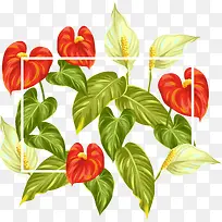 多彩清新鲜花框架边框纹理-空若网 多彩清新鲜花框架边框纹理-空若网