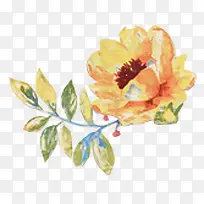 СÇåРΨÃÀ ÊÖ»æ Ë®²Ê» »¨-¿ÕÈôÍø СÇåРΨÃÀ ÊÖ»æ Ë®²Ê» »¨-¿ÕÈôÍø