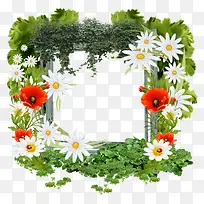 植物边框-空若网 植物边框-空若网