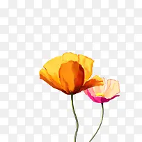 »¨1-¿ÕÈôÍø »¨1-¿ÕÈôÍø