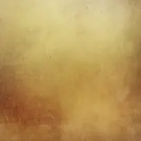 ���Ż�ɫ����-������