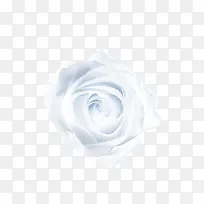白色 手绘玫瑰花-空若网 白色 手绘玫瑰花-空若网