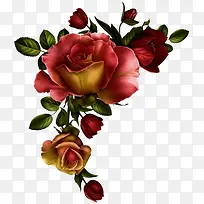 手绘玫瑰花-空若网 手绘玫瑰花-空若网