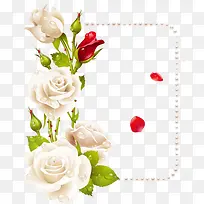 矢量白玫瑰边框-空若网 矢量白玫瑰边框-空若网