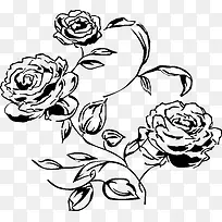 手绘玫瑰花插画素材-空若网 手绘玫瑰花插画素材-空若网