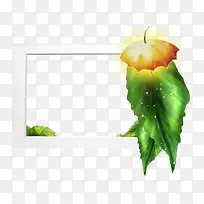 花卉标签花卉图片素材-空若网 花卉标签花卉图片素材-空若网