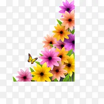 鲜花边框矢量素材-空若网 鲜花边框矢量素材-空若网