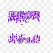 紫色薰衣草边框-空若网 紫色薰衣草边框-空若网