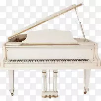 格雷斯兰大钢琴乐器竖直钢琴键-空若网 格雷斯兰大钢琴乐器竖直钢琴键-空若网