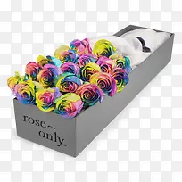 ��ɫõ�����-������