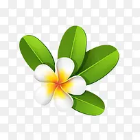 唯美白色五瓣花创意-空若网 唯美白色五瓣花创意-空若网