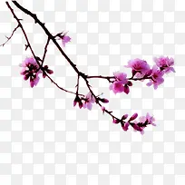 梅花树枝素材-空若网 梅花树枝素材-空若网