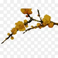 红色梅花水彩梅花素材-空若网 红色梅花水彩梅花素材-空若网