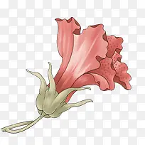 �ֻ滨-������