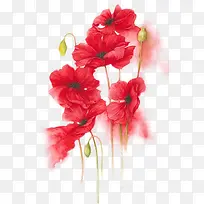 水彩花朵-空若网 水彩花朵-空若网