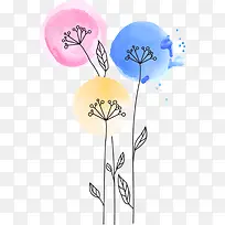 ˮ��ֲ��-������