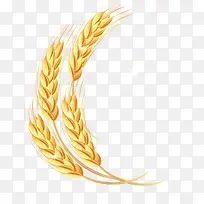 ÂóËëpngʸÁ¿ËزÄ-¿ÕÈôÍø ÂóËëpngʸÁ¿ËزÄ-¿ÕÈôÍø