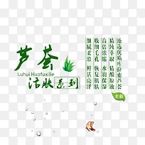 芦荟植物素材-空若网 芦荟植物素材-空若网