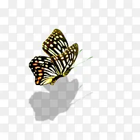 ����-������