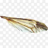 翅膀-空若网 翅膀-空若网