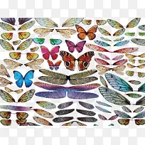 �����ĳ����ͼ�ز�-������