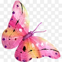 多彩手绘蝴蝶-空若网 多彩手绘蝴蝶-空若网