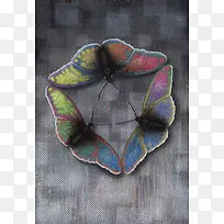 ºûµû±³¾°µ×ÎÆ-¿ÕÈôÍø ºûµû±³¾°µ×ÎÆ-¿ÕÈôÍø