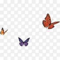 ���������羰ˮ��-������