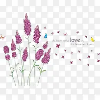 免扣素材之薰衣草-空若网 免扣素材之薰衣草-空若网