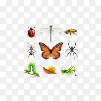 ���������ز�-������