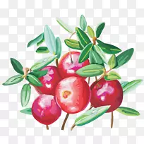 Ô½éÙʳÎï¼ôÌù»-Ó£ÌÒ-¿ÕÈôÍø Ô½éÙʳÎï¼ôÌù»-Ó£ÌÒ-¿ÕÈôÍø