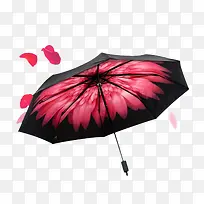 ��ɡ-������