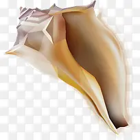 黄色贝壳-空若网 黄色贝壳-空若网