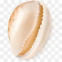 卡通贝壳-空若网 卡通贝壳-空若网