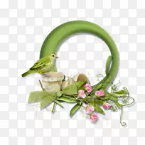 ���������ֽ���㶹-������