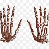 手指矢量图-空若网 手指矢量图-空若网