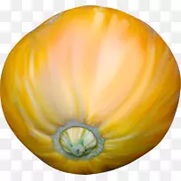 �����������Ϲϳ�-������