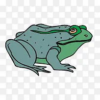 矢量青蛙蟾蜍素材-空若网 矢量青蛙蟾蜍素材-空若网