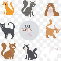 可爱猫咪设计矢量素材-空若网 可爱猫咪设计矢量素材-空若网