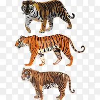 �ϻ�����ʸ���ز�-������