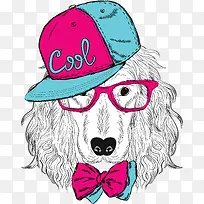 ʱ�����趯��ʸ���ز�-������