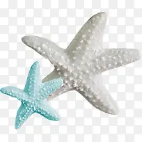 海底动物-空若网 海底动物-空若网