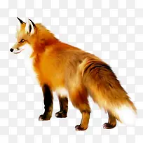 �ֻ��������ز�-������