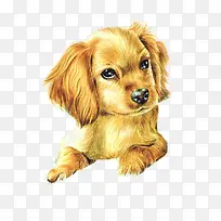 水彩手绘动物素材-空若网 水彩手绘动物素材-空若网