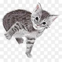 水彩手绘动物素材-空若网 水彩手绘动物素材-空若网