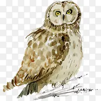 水彩猫头鹰设计-空若网 水彩猫头鹰设计-空若网
